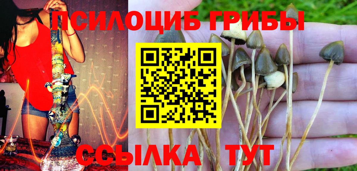 Волжск  Галлюциногенные грибы ЛСД  Псилоцибиновые грибы Cubensis  Вход с VPN 